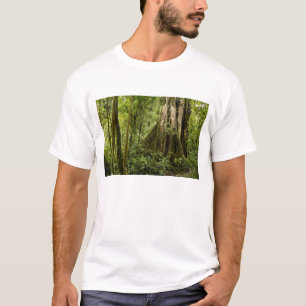 T-shirt Forêt de nuages, Bosque de Paz, Costa Rica