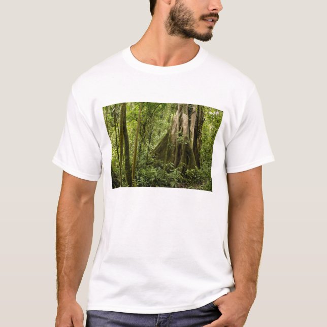 T-shirt Forêt de nuages, Bosque de Paz, Costa Rica (Devant)