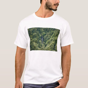 T-shirt Forêt d'Himalaya dans la vallée de Mangdue, Bhouta