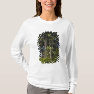 T-shirt Forêt tropicale en bordure de la rivière Rewa, Guy