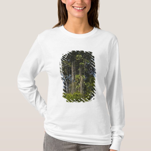 T-shirt Forêt tropicale en bordure de la rivière Rewa, Guy (Devant)