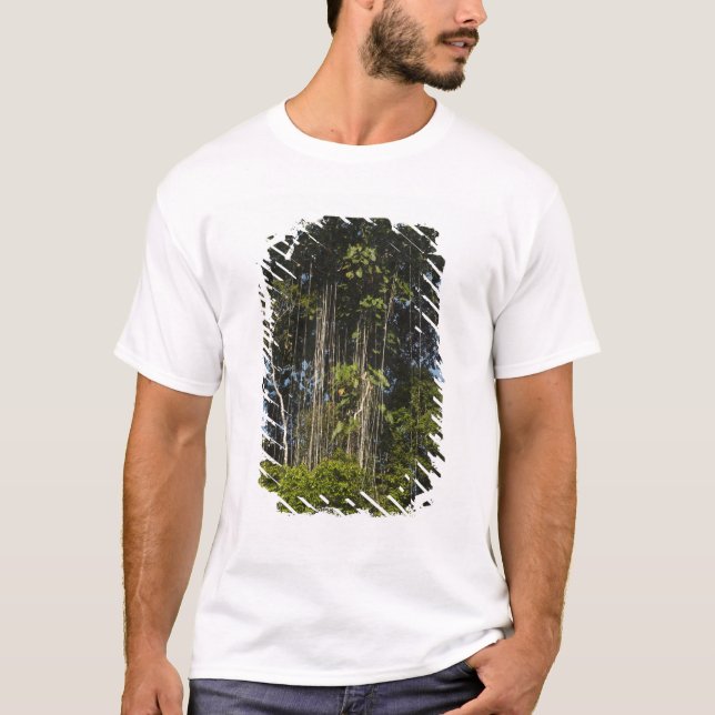 T-shirt Forêt tropicale en bordure de la rivière Rewa, Guy (Devant)