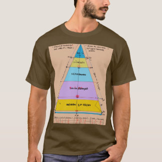 T-shirt "Formula Fondamentals : Physics Edition"