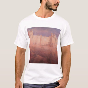 T-shirt Fort ambre Jaipur