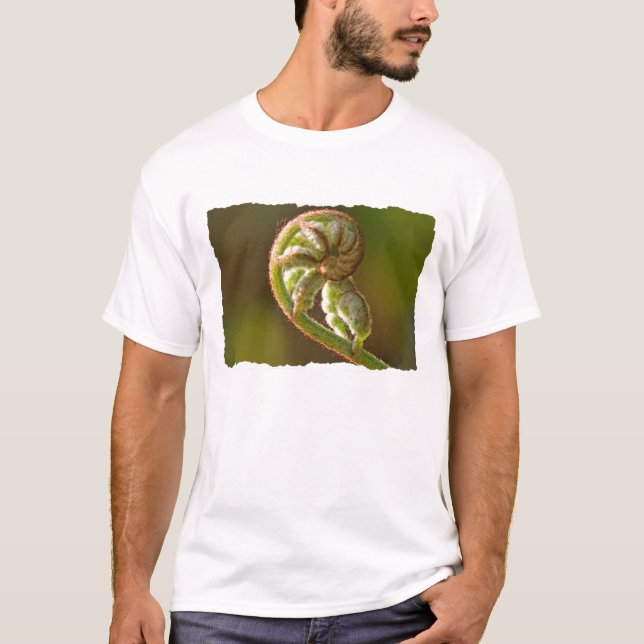 T-shirt Fougère de Fiddlehead (Devant)