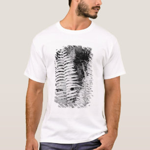 T-shirt Fougère géante sauvage en cuir, Floride, États-Uni