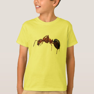 T-shirt Fourmi de feu