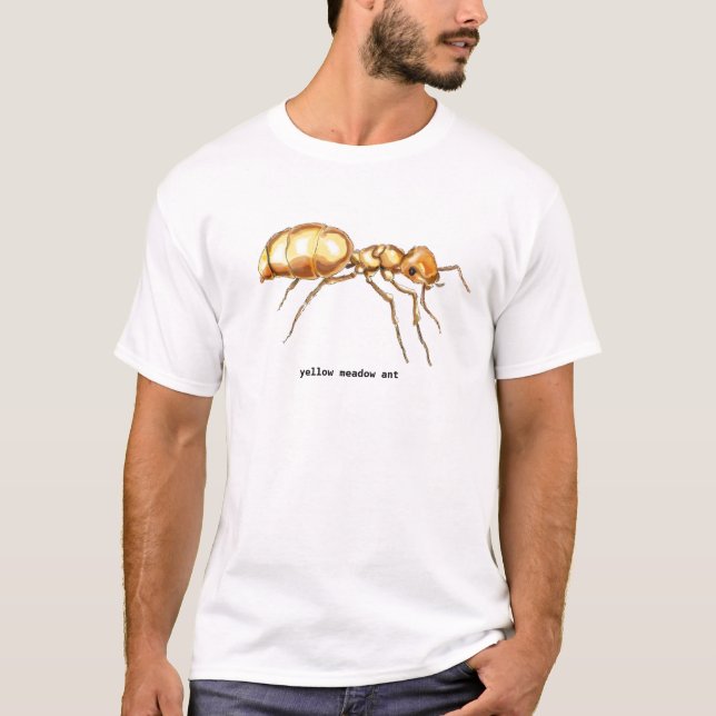 T-shirt fourmi jaune de pré (Devant)