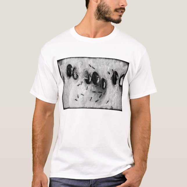 T-shirt fourmis faisant du surf (Devant)