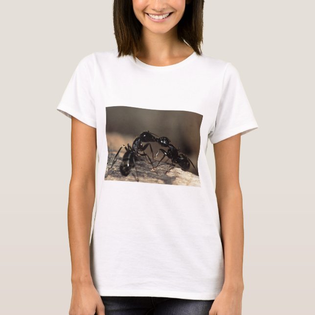 T-shirt fourmis s'embrasser (Devant)