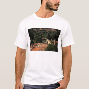 T-shirt France, Avignon, Provence. Pont St, Benezet.