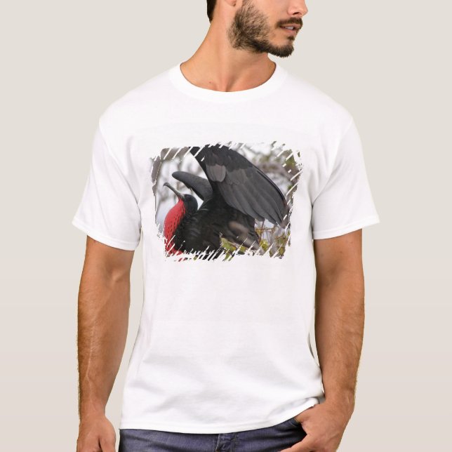 T-shirt Frégate superbe (Devant)