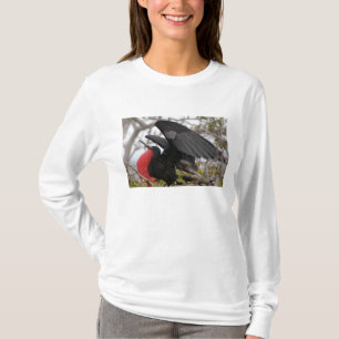 T-shirt Frégate superbe