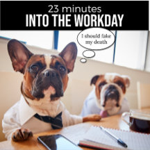 French Bulldog Je Devrais Fausser Ma Mort À Chemis