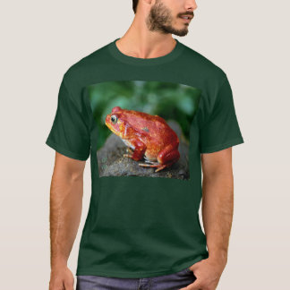 T-shirt frog1_dark/bgrnd