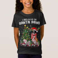 Funky Bordure Collie Chien de Noël Arbre de Noël P