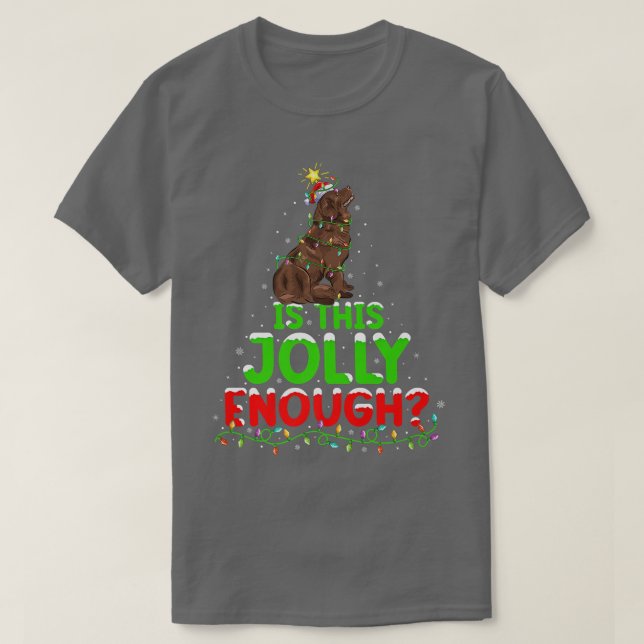 T-shirt Funny Is This Jolly Enough Newfoundland Dog Christ (Design devant)