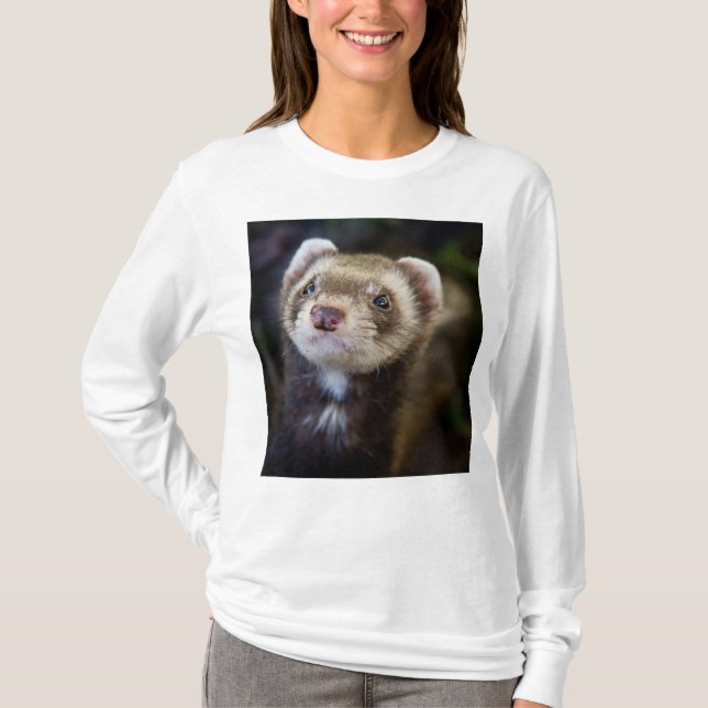 T-shirt Furet (Devant)