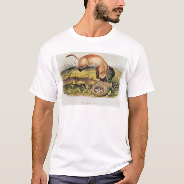 T-shirt furet Noir-aux pieds (Devant)