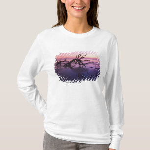 T-shirt GA Jekyll Island, Cimetière d'arbres sur la plage 