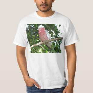 T-shirt Galah (cacatoès rose de Breasted)