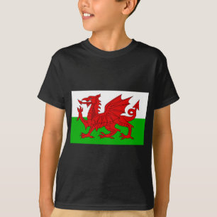 T-shirt Gallois/drapeau du Pays de Galles - image de haute