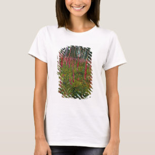 T-shirt Gants de boeuf, c.1916 (huile sur toile)
