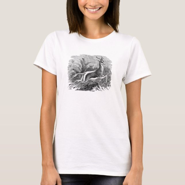 T-shirt Gazelle vintage d'antilope de springbok (Devant)