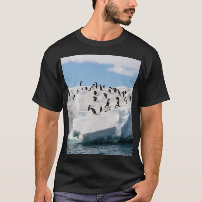 T-shirt Gentoo Penguin Antarctica Iceberg Playtime (Devant)