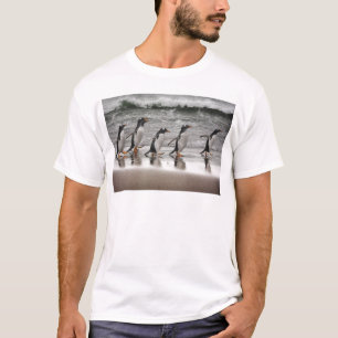 T-shirt Gentoos sur la plage