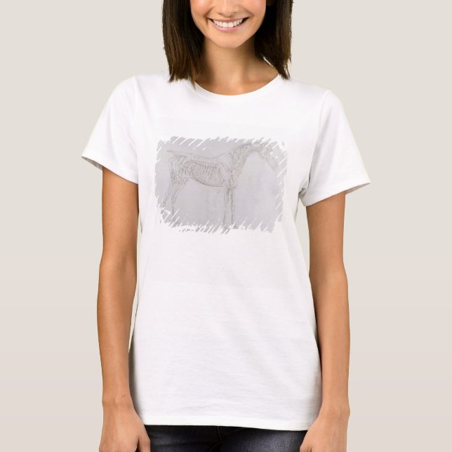 T-shirt George Stubbs | Illustration de 'L'anatomie de (Devant)