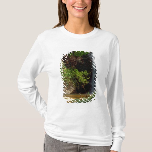 T-shirt Ghana : Wli Falls, alias Chutes d'Agumatsa (Volta) (Devant)