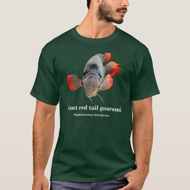 T-shirt Giant red tail gourami , Osphronemus laticlavius (Devant)
