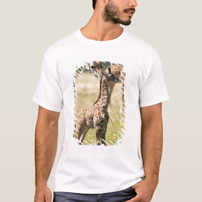 T-shirt Girafes maasaï, Giraffa camelopardalis 2 (Devant)