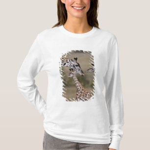 T-shirt Giraffe Masaï (Giraffe Tippelskirchi)