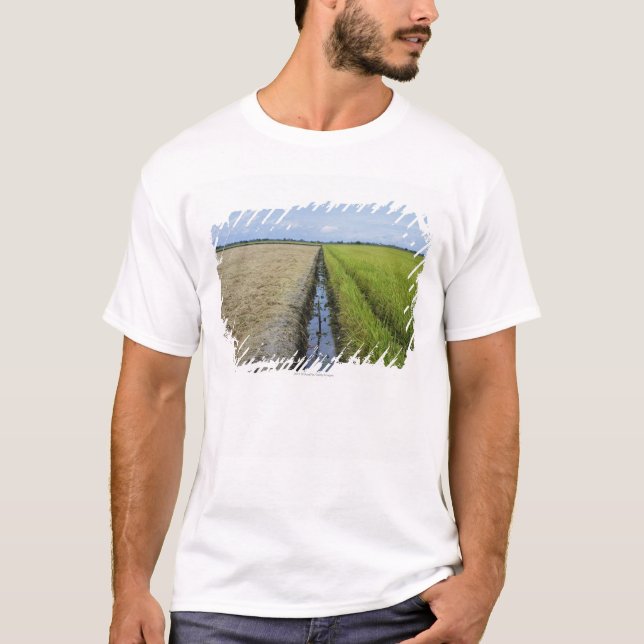 T-shirt gisements intermédiaires de riz de canal (Devant)