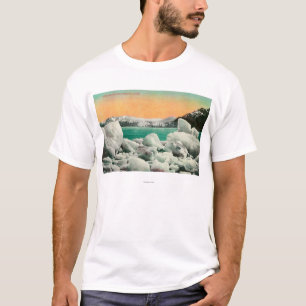 T-shirt Glacier et icebergs de Muir en Alaska #1State