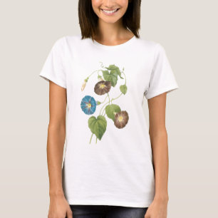 T-shirt gloire du matin (Spomaea quamoclit) par Redouté