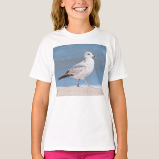 T-shirt Goéland à bec cerclé