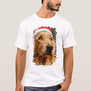 T-shirt Golden retriever posant pour son Noël