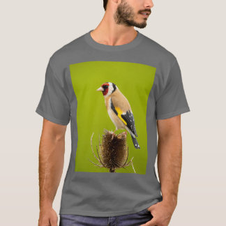 T-shirt Goldfinch on teasel