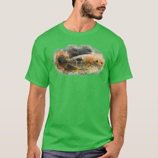 T-shirt Goldsaum cichlid Aequdens rivulatus