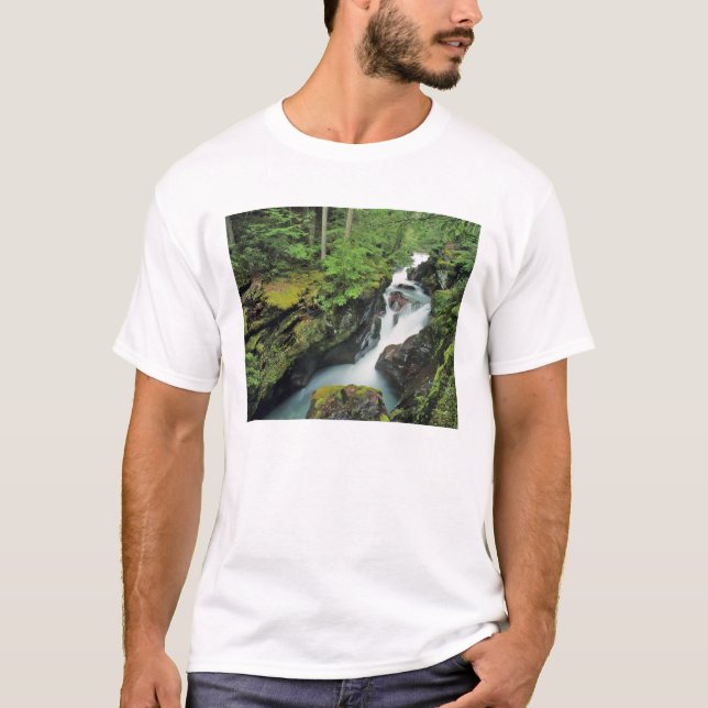 T-shirt Gorge de l'Avalanche dans le parc national de Glac (Devant)