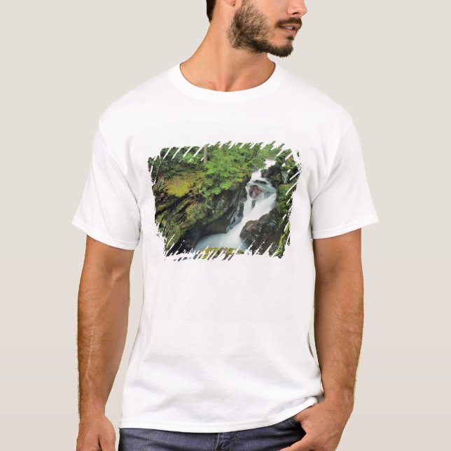 T-shirt Gorge de l'Avalanche dans le parc national de Glac (Devant)