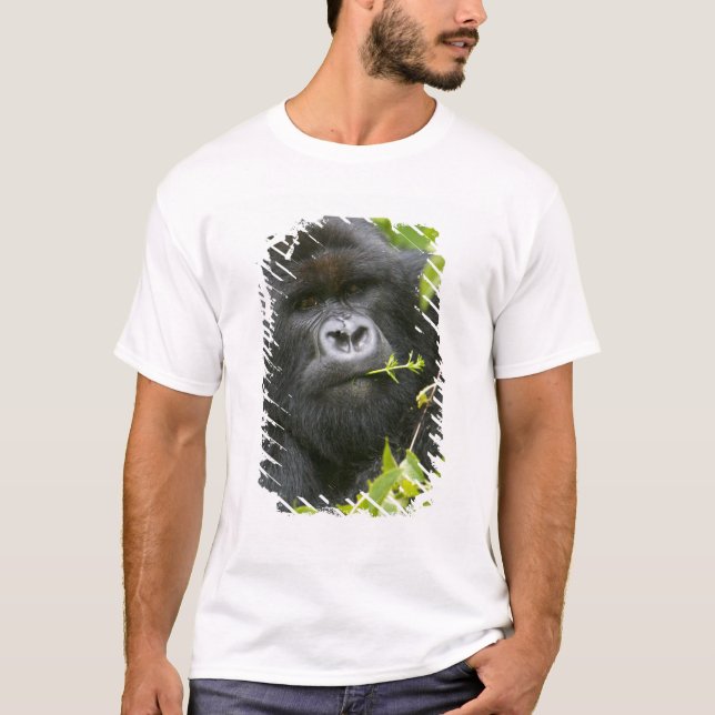 T-shirt Gorilla de Silverback Mountain (Devant)