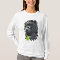 Gorille de Silverback Lowland, captif de Gorilla