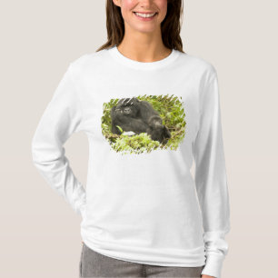 T-shirt Gorille des montagnes, Gorilla beringei (anciennem