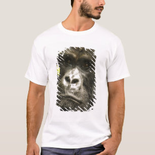 T-shirt Gorille des montagnes, Gorilla beringei beringei,