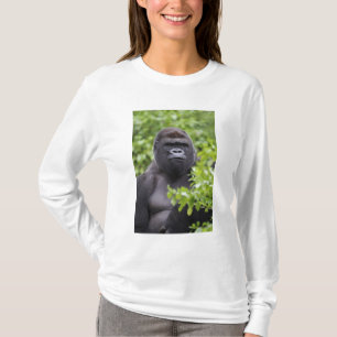 T-shirt Gorille des plaines à dos argenté, Gorilla gorilla