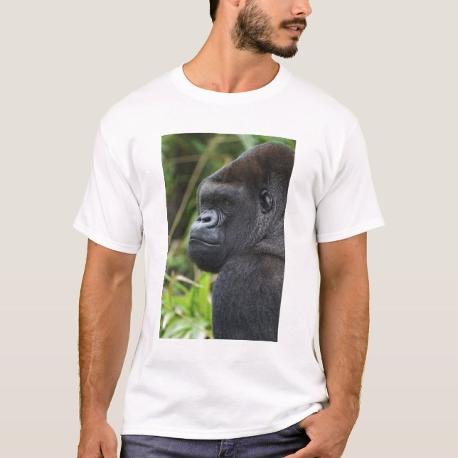 T-shirt Gorille des plaines à dos argenté, gorille captif (Devant)